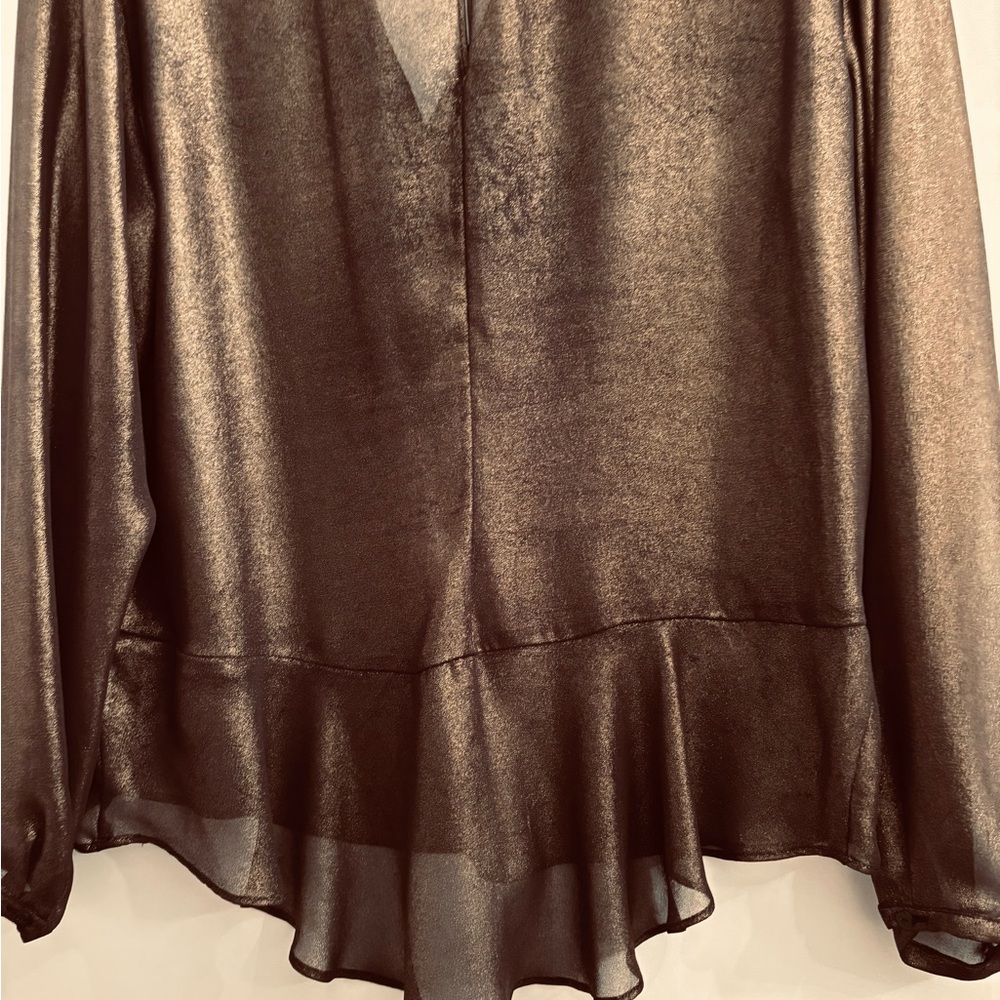 Chic Bronze Sheer Women's Blouse
Jennifer Lopez